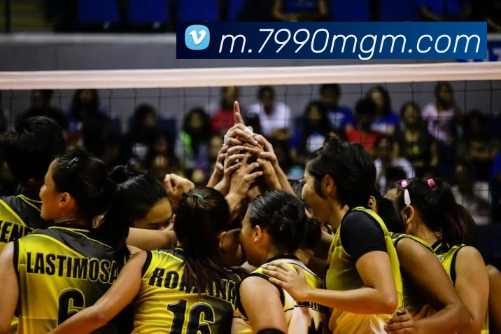 美高梅mgmAPP 体育赛事宣传图